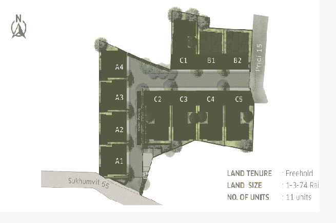 Award Winning Designed Luxury Houses in Secure Estate at Ekkamai-15